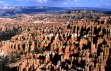 Bryce Canyon N.P.