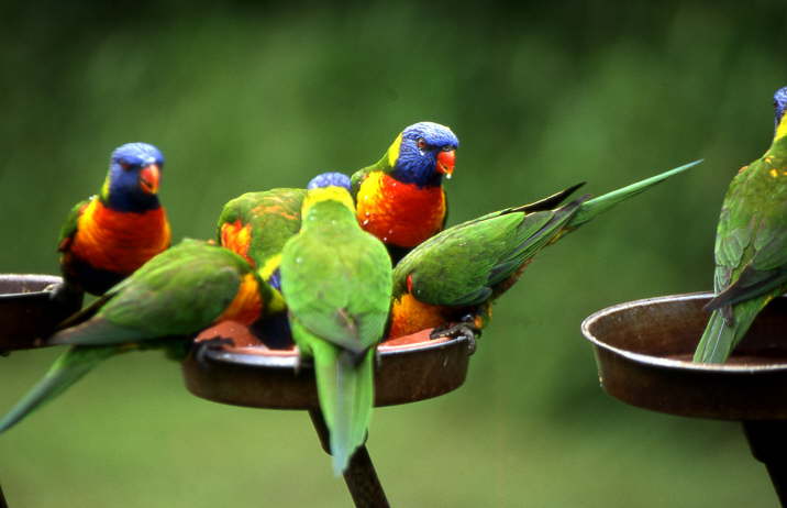 Queensland