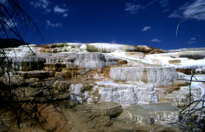 Yellowstone N.P.